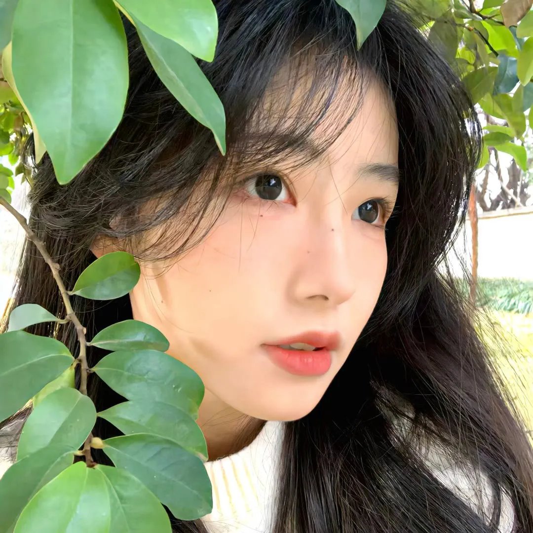 哈林四女子第二季